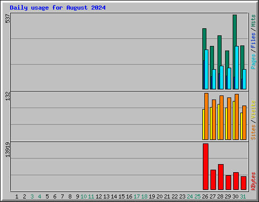 Daily usage for August 2024