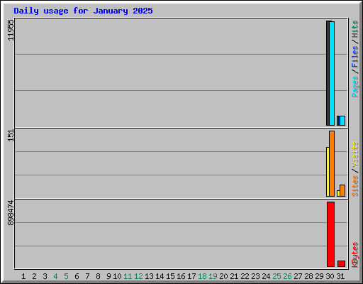 Daily usage for January 2025