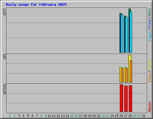 Daily usage for February 2025
