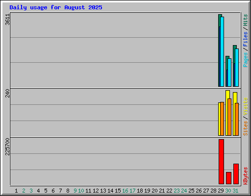 Daily usage for August 2025