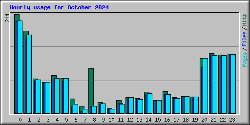 Hourly usage for October 2024