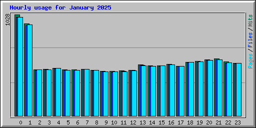 Hourly usage for January 2025