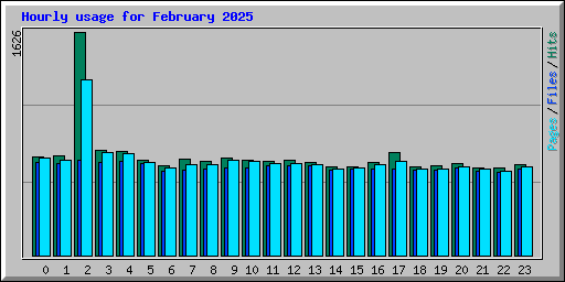 Hourly usage for February 2025
