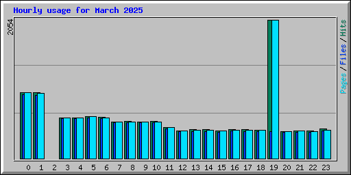 Hourly usage for March 2025