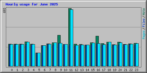 Hourly usage for June 2025