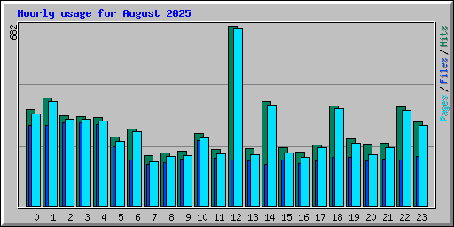 Hourly usage for August 2025