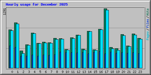 Hourly usage for December 2025