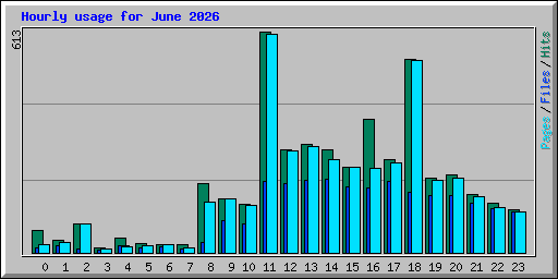 Hourly usage for June 2026